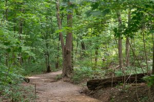 MFD conducts rope rescue training at Arboretum